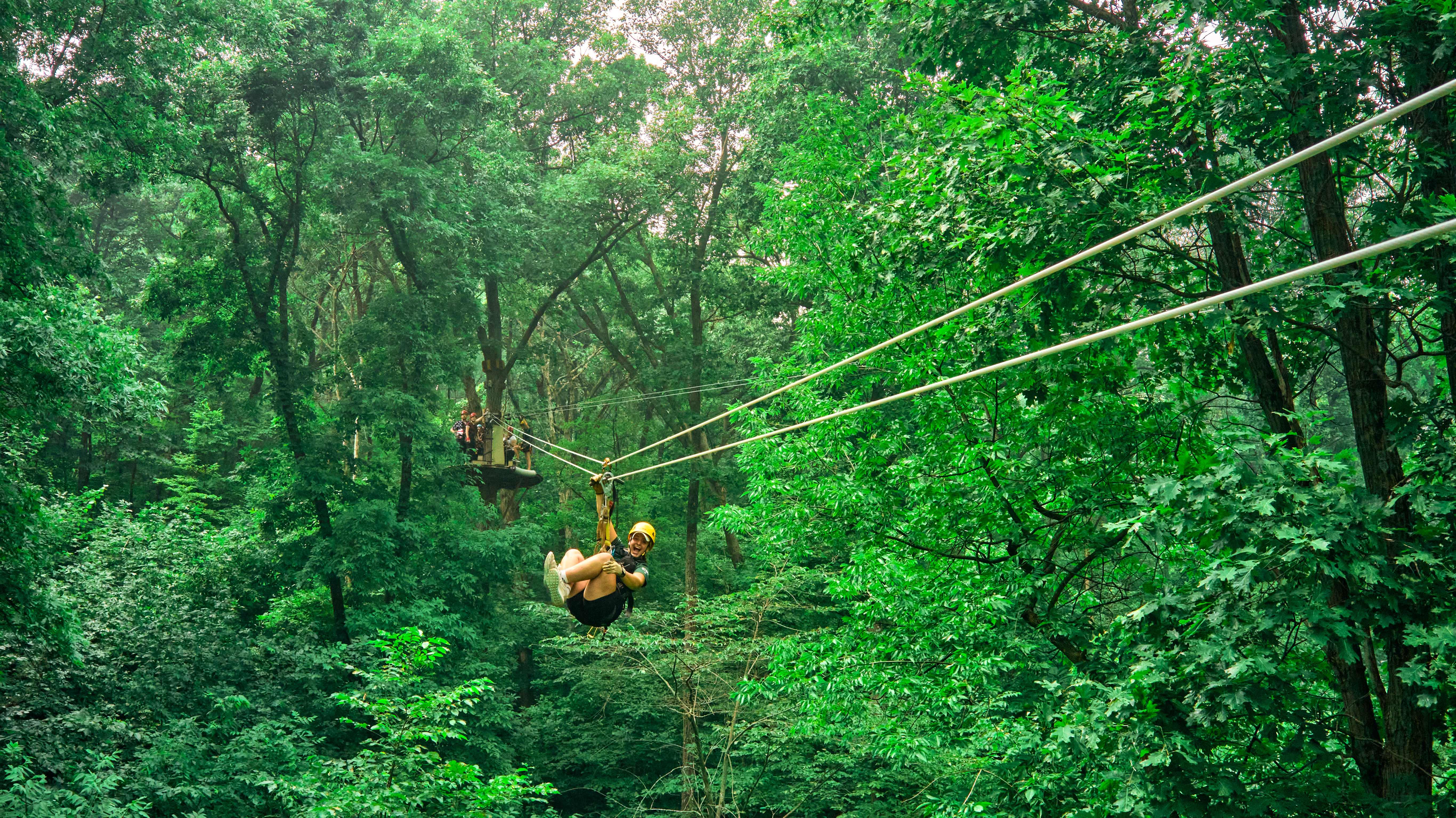 Long Hollow Canopy Tour